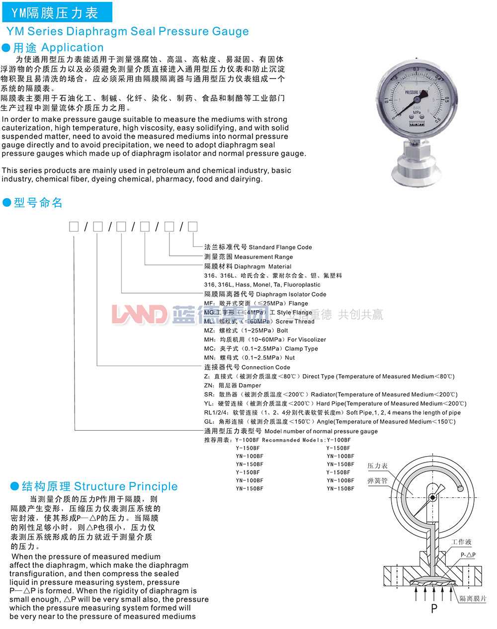 YM隔膜壓力表1.jpg