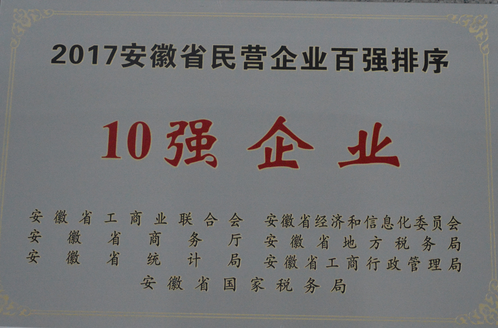 2017年安徽民營企業(yè)百強 10強.jpg